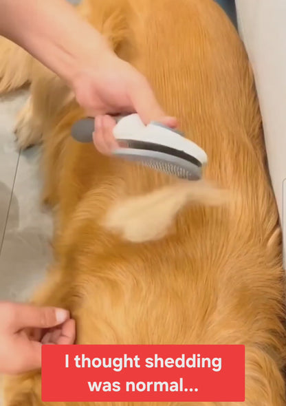 1-Click Self-Cleaning Pet Grooming Brush