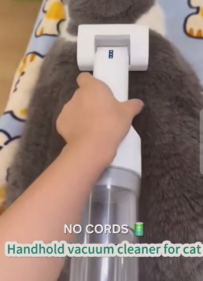 Stop Pet Hair Taking Over Your Home in 5 Minutes