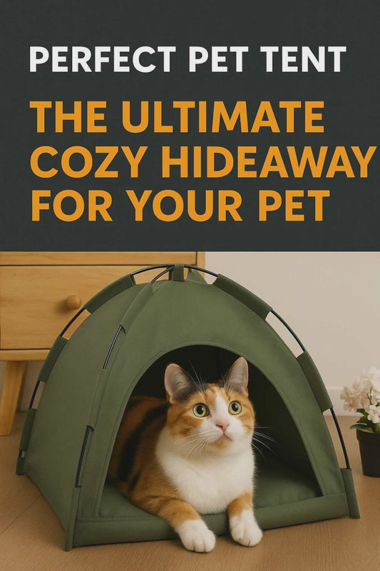House for Cats Tent Sofa Beds