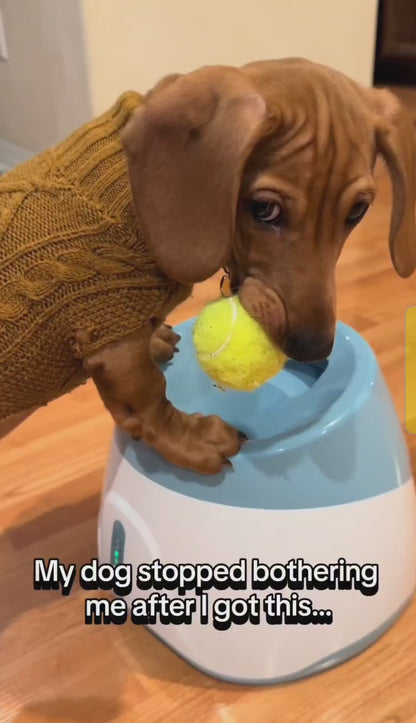FitFetch™ Automatic Dog Ball Launcher | Keep Your Dog Active & Healthy